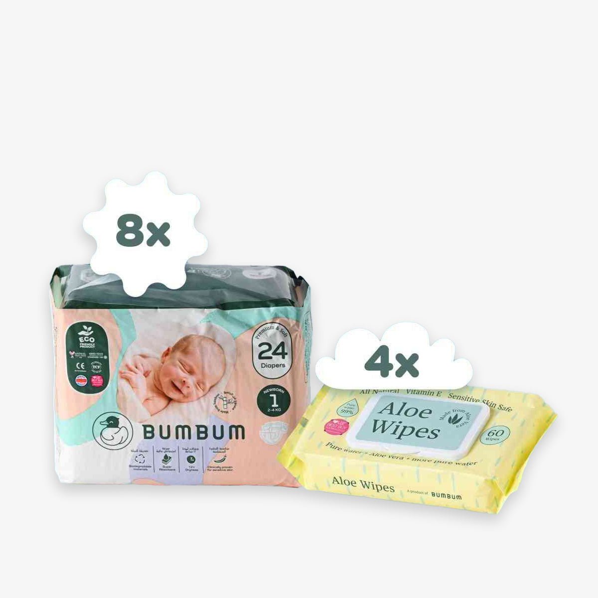 Subscription box - Aloe wipes - BUMBUM