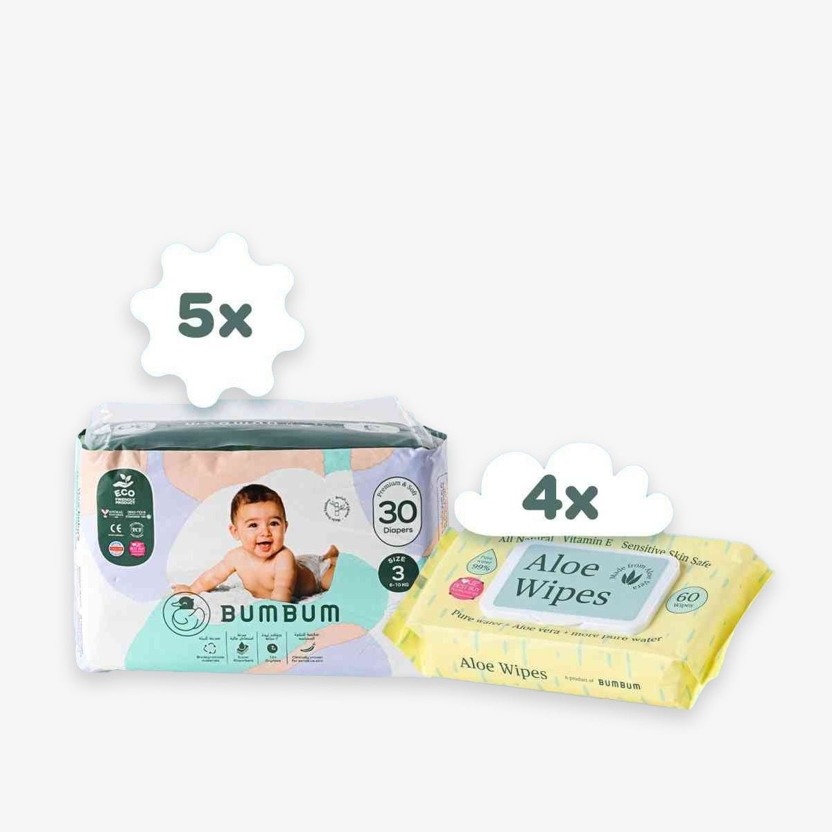 Subscription box - Aloe wipes - BUMBUM