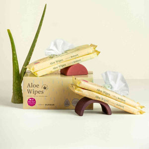 Aloe Wipes Box Travel Size Packs - My BumBum