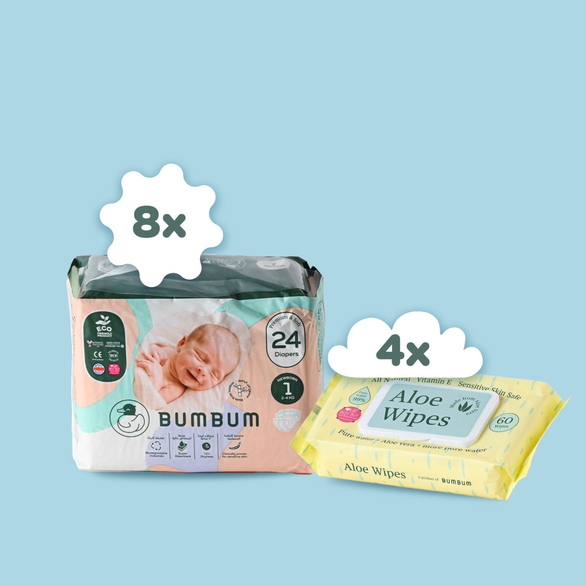 Subscription box - Aloe wipes - BUMBUM